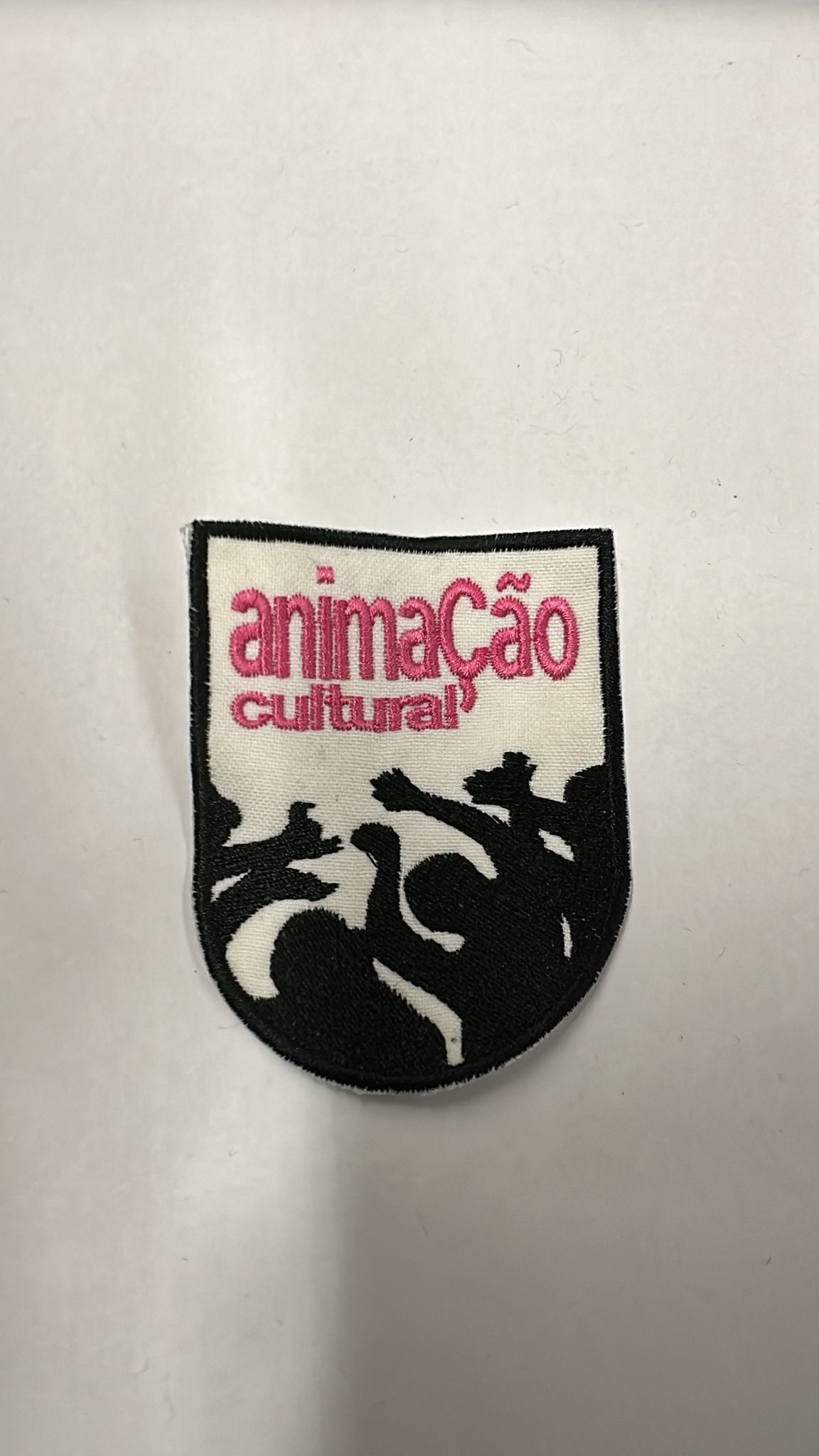 Animacao Cultural