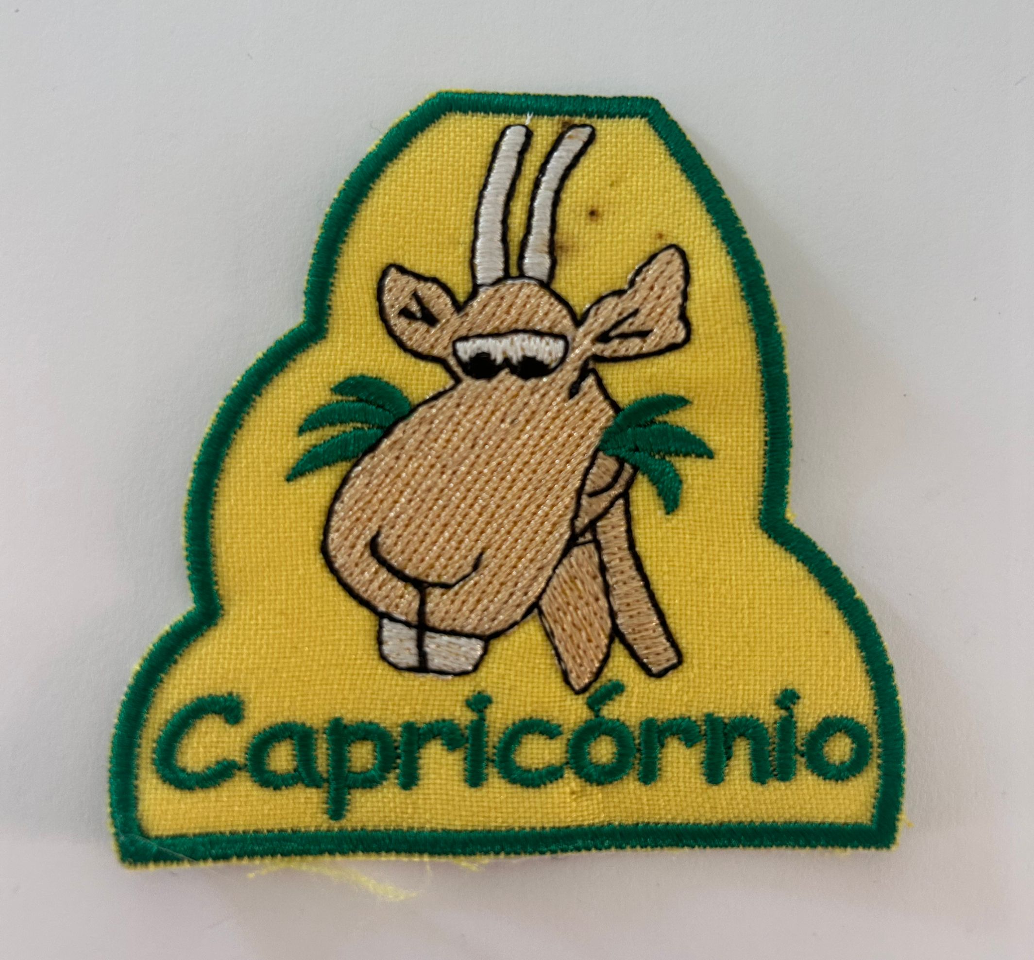 Capricornio-1