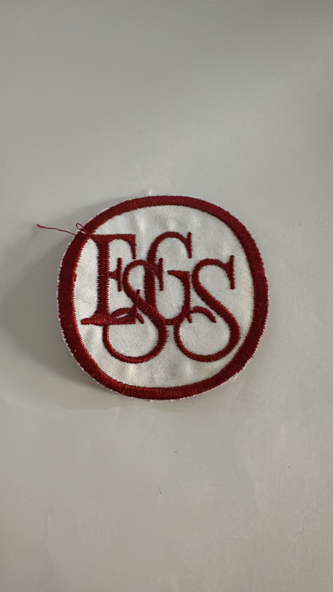 Esgs