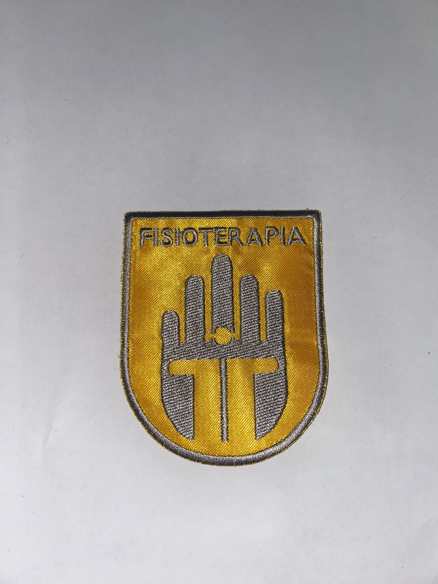 Fisioterapia-1