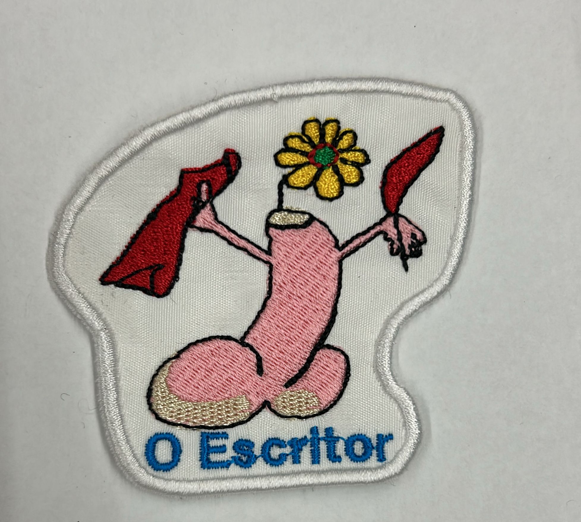 O Escritor