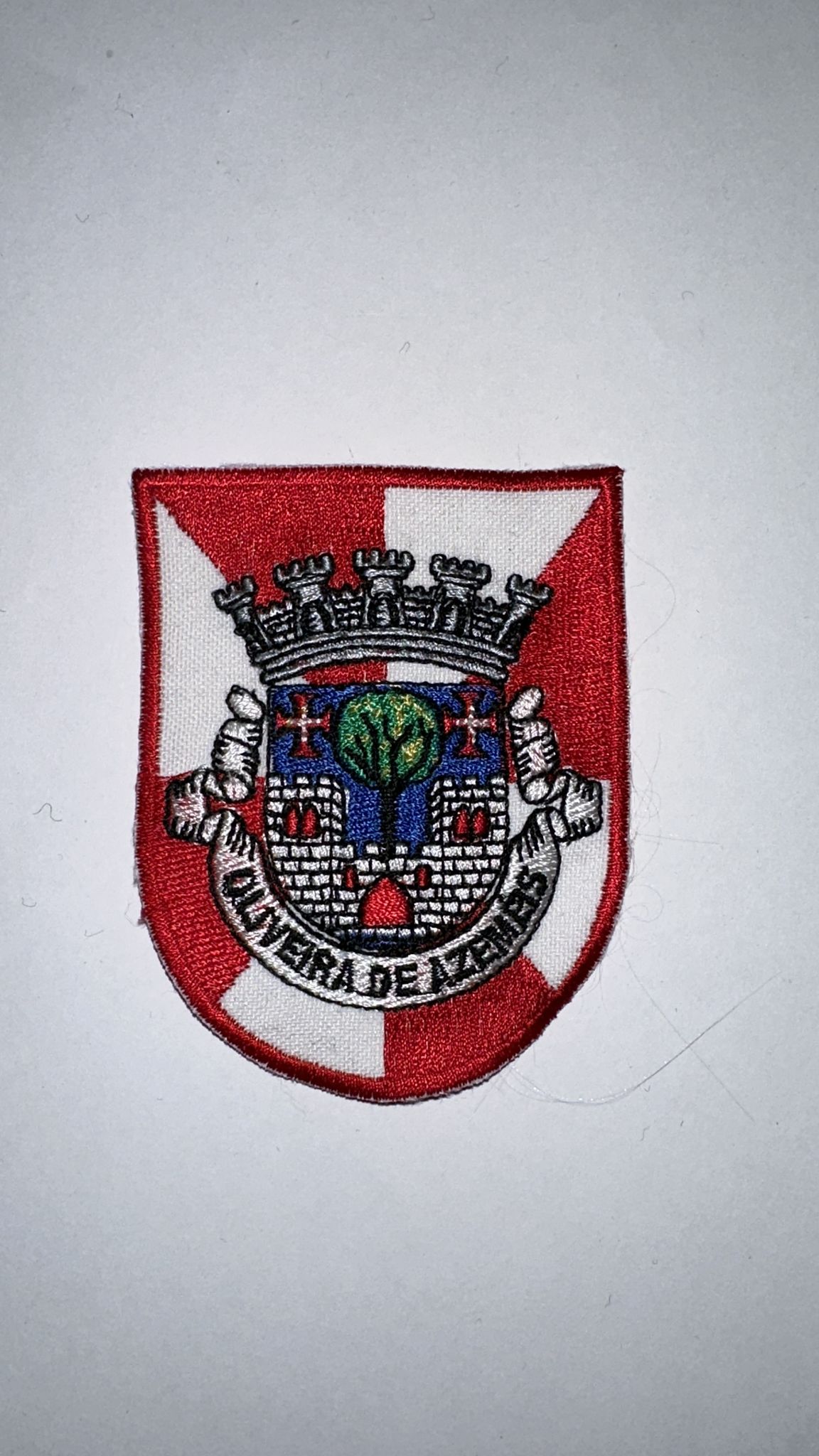 Oliveira De Azemeis-1